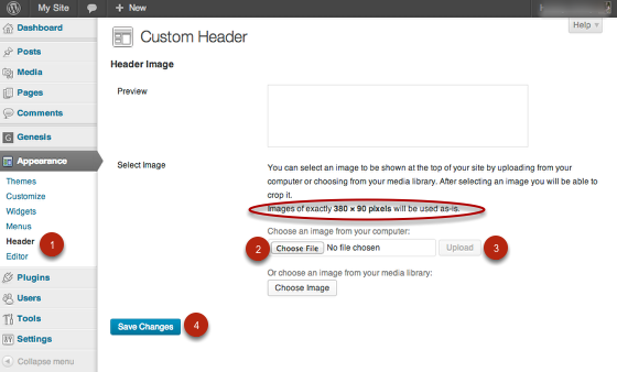 magazine-pro-custom-header.png