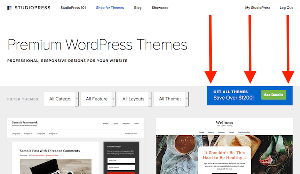Locate link to get big discount on Pro Plus All-Theme Package