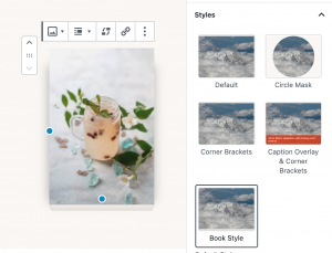 Book Image Style