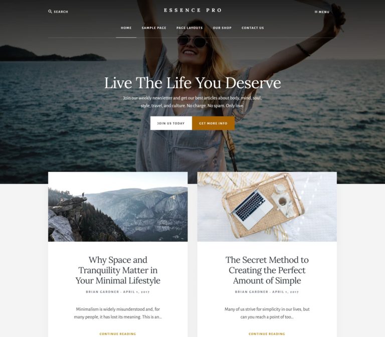 The Best Wordpress Themes for Blogs & Business in 2022