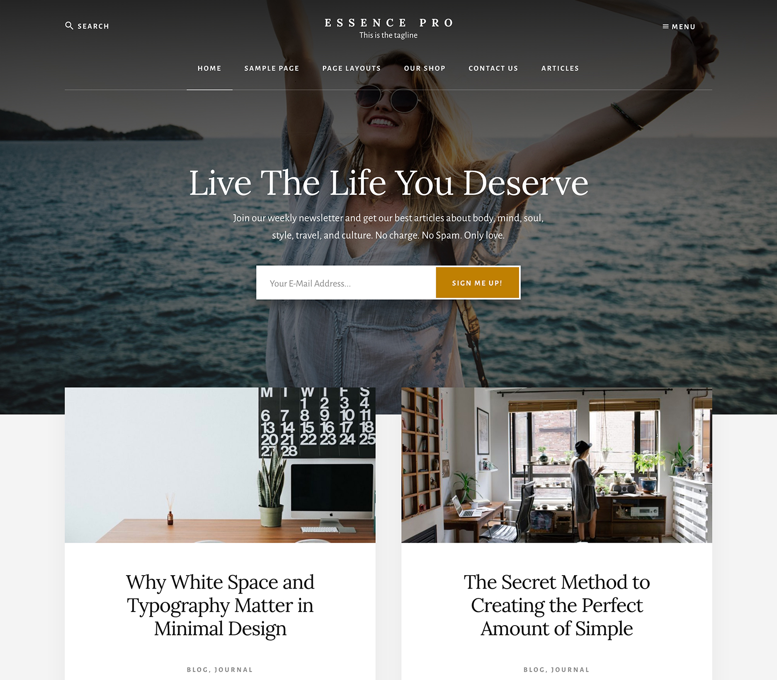 screenshot of the StudioPress Enterprise Pro WordPress theme